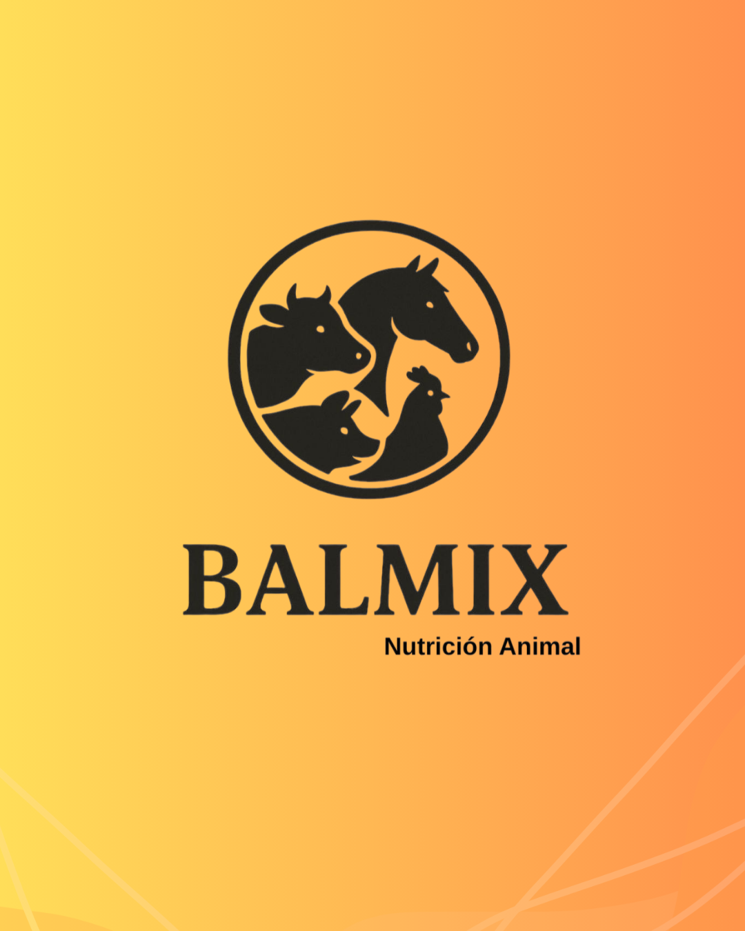 Logo BALMIX